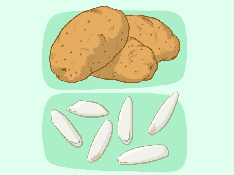 Potato vs Rice Nutrition Chart (Calories, Carbs, Vitamins, Minerals)